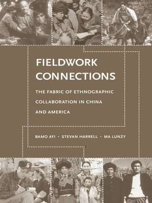 cover image of Fieldwork Connections